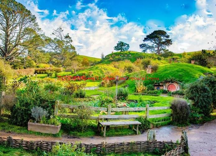 ���������������ι���