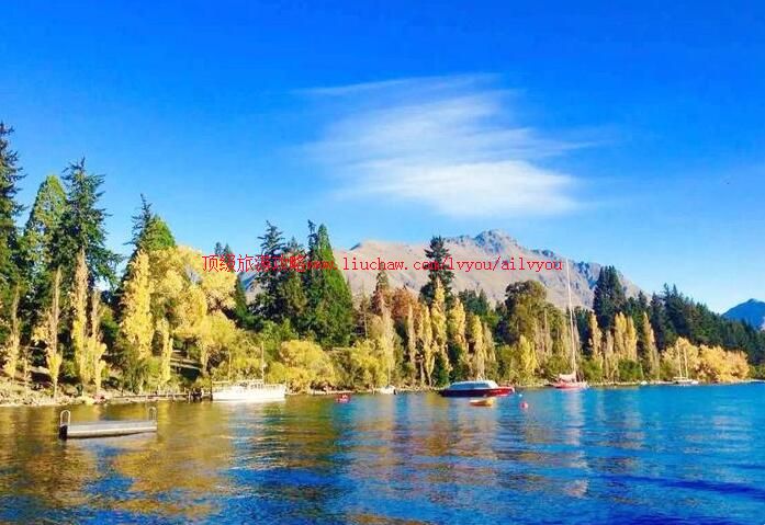 ���������ɿ����ι���