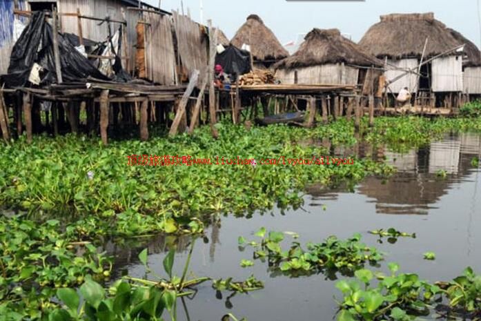 贝宁冈维埃村旅游攻略
