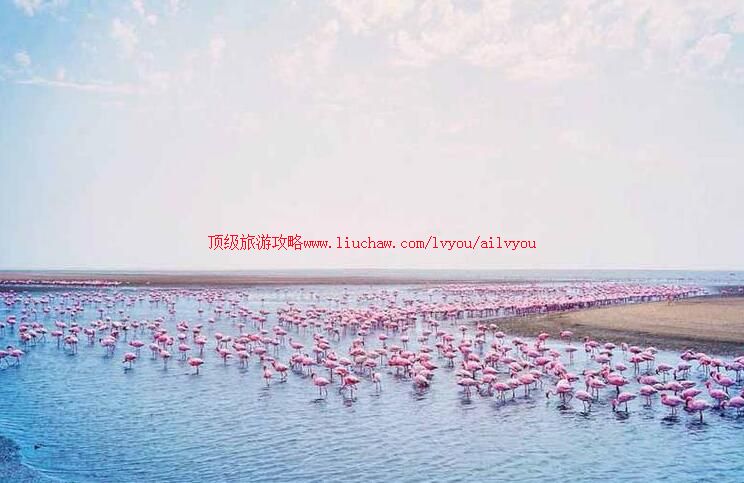 ���ױ��Ǿ�������ι���