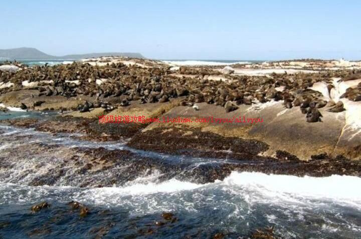 �ϷǺ��������ι���