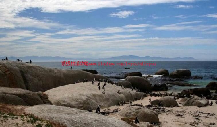 �Ϸǿ��ն����̲���ι���