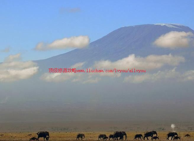 �����ǰ����������ҹ�԰���ι���