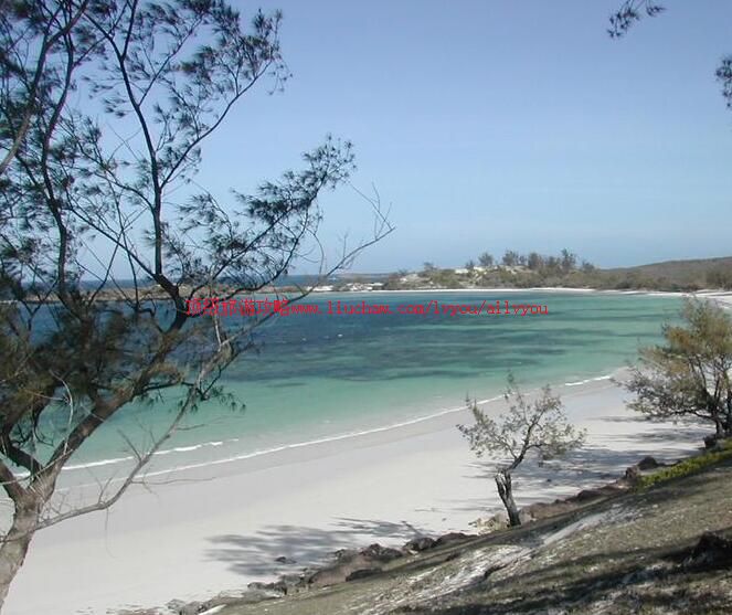 �����˹�ӵϸ����ι���