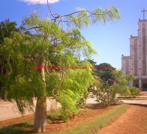 �����˹�������޼����ι���