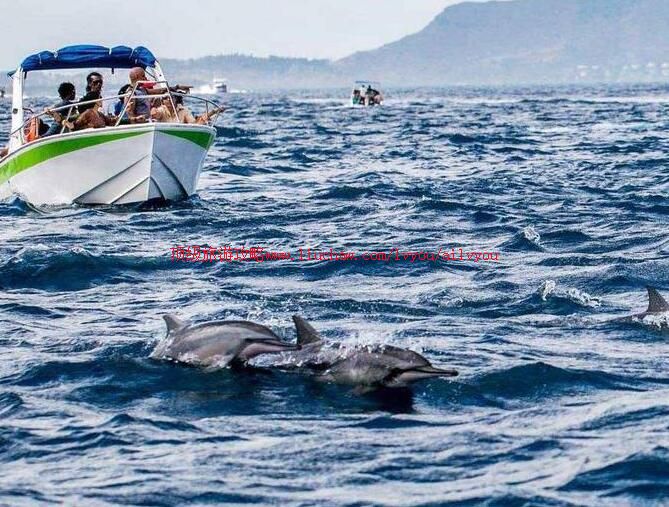 ë����˹���������ι���