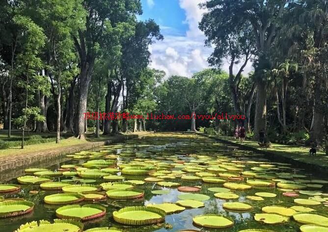 ë����˹�ʼ�ֲ��԰���ι���