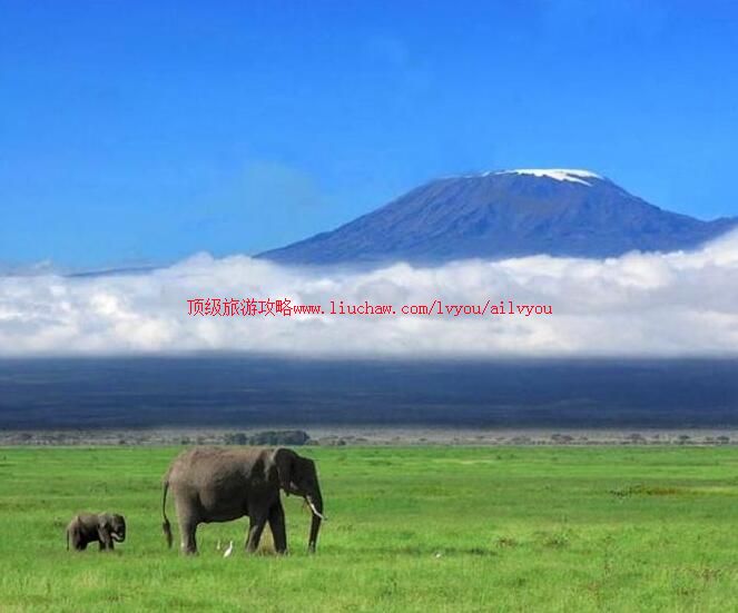 乞力马扎罗山风景区旅游攻略
