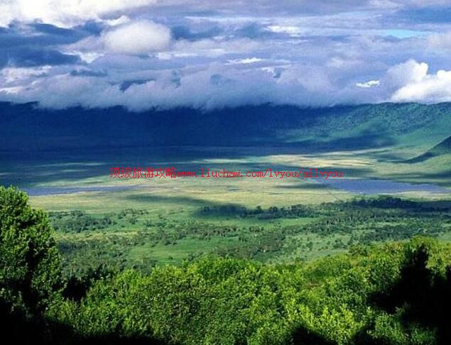 ̹ɣ���Ƕ����޶�������Ȼ���������ι���