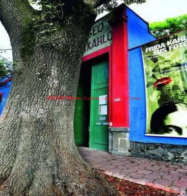 ī���縥��ﲩ������ι���