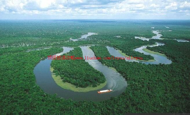 bx001�������������ι���2020