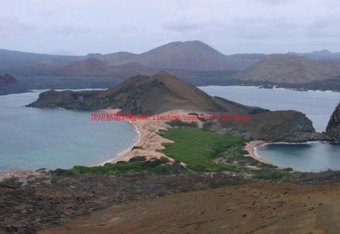 ��϶����������˹Ⱥ�����ι���