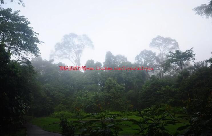 ���ô���������ķ»���ҹ�԰���ι���