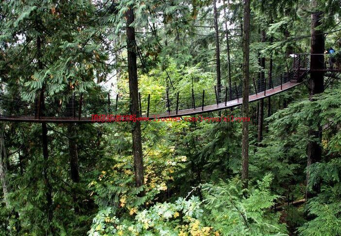 ���ô�Ƥ��ŵ���Ź�԰���ι���