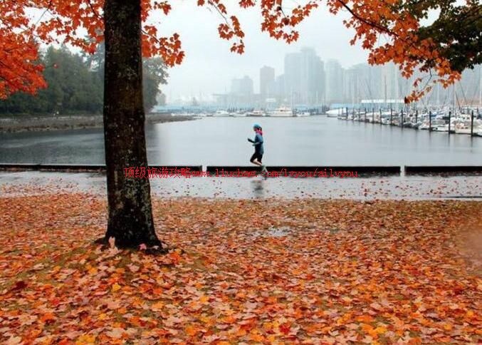 ���ô�˹̹����԰���ι���