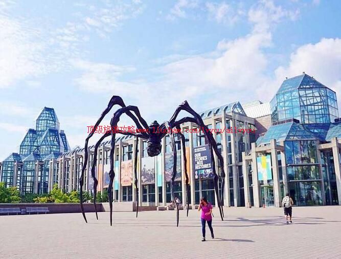 ���ô�������������ι���