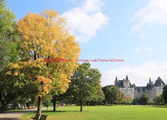 ���ô���̫��������԰���ι���