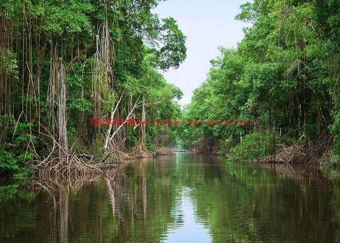 ���ձ��ض࿨����������ҹ�԰���ι���