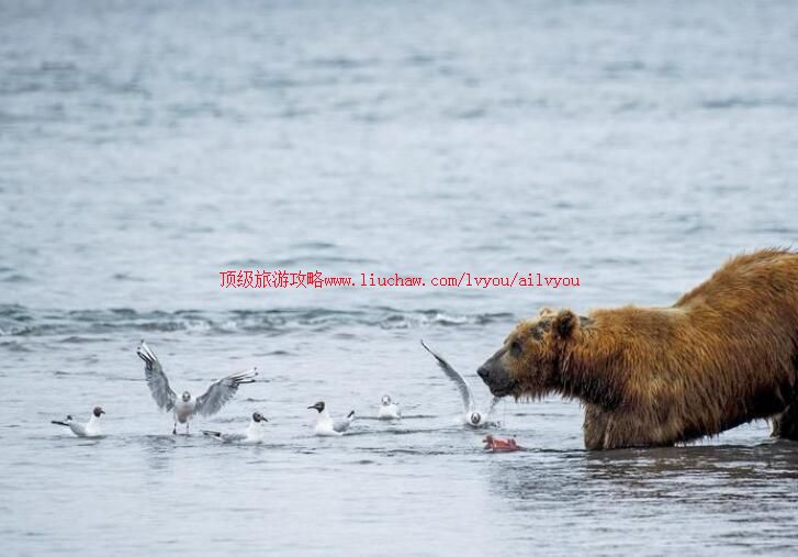 堪察加库页湖旅游攻略