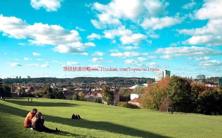 ������ά��Ŧ˹�����ι���