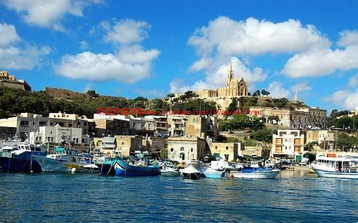 ������Ⱥ�����ι���