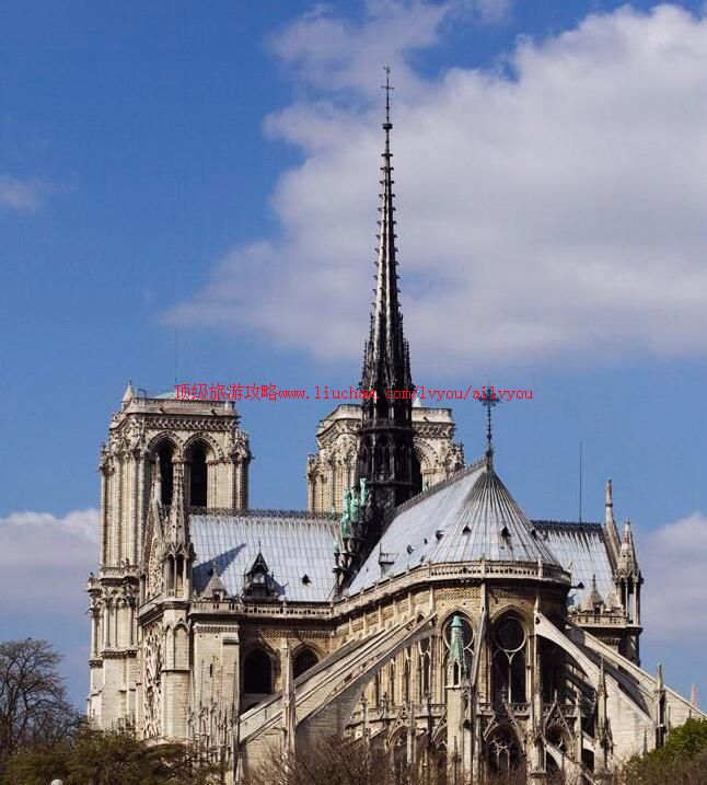 ��������ʥĸԺ���ι���