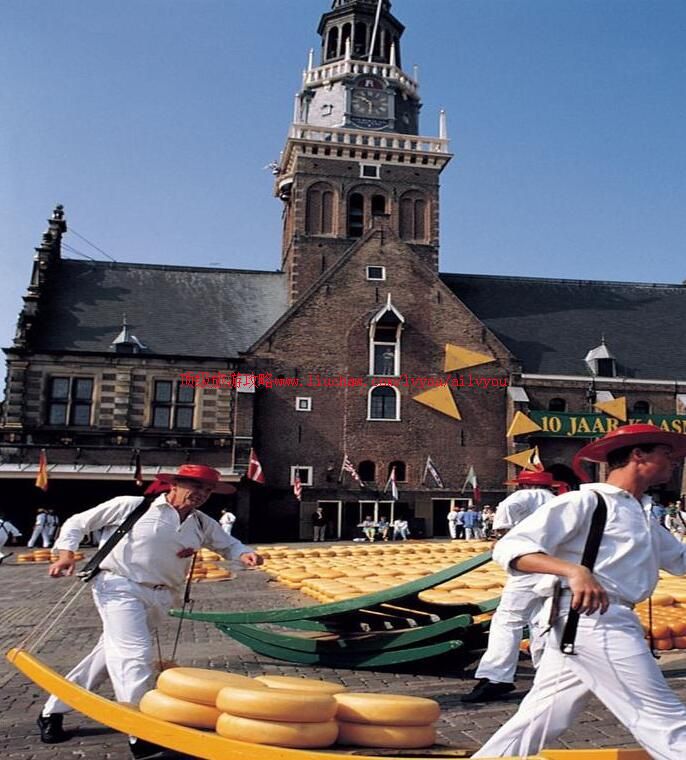 荷兰阿克马乳酪市场旅游攻略