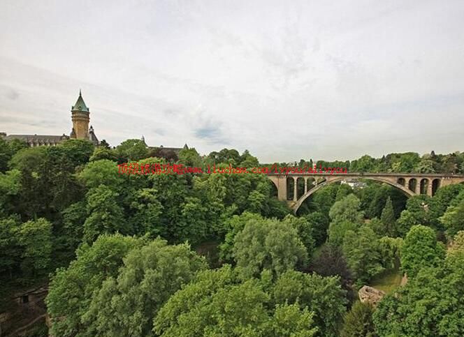 ¬ɭ�������ι���