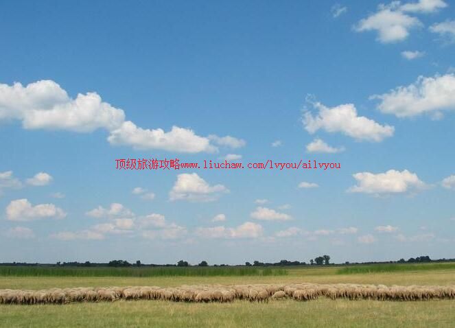 匈牙利霍尔托巴吉国家公园旅游攻略