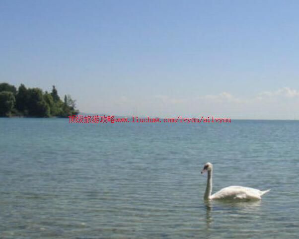 �¹����Ǻ����ι���