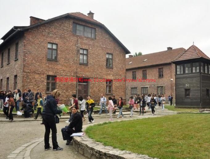 ������˹ά������Ӫ���ι���