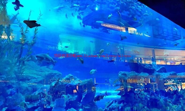 迪拜水族馆和水下动物园旅游攻略