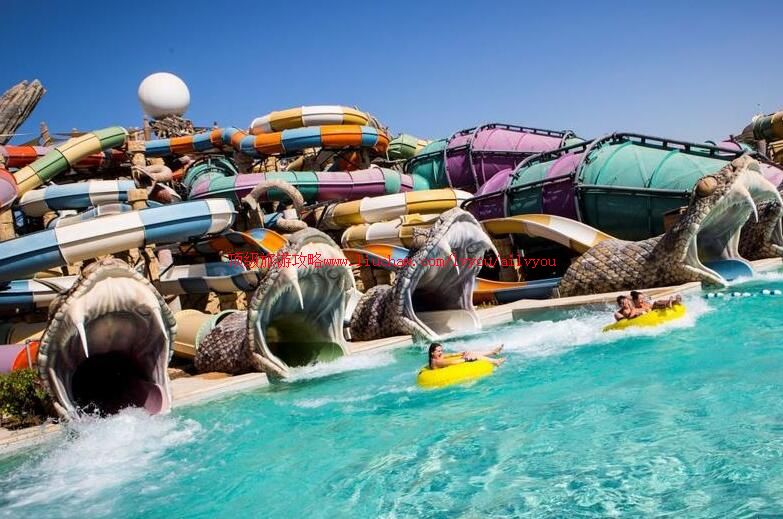 ����������������˹ˮ���������ι���