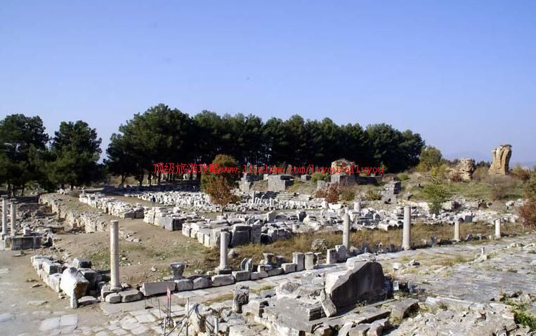 �����䰢��߯��˹�������ι���