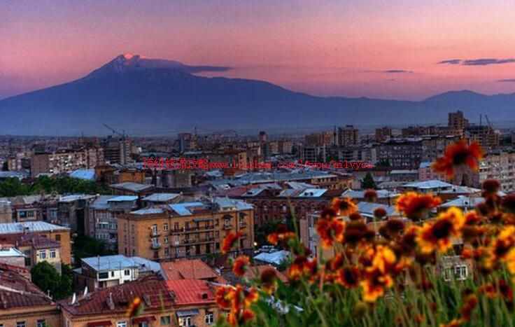 �������ǰ��������ι���