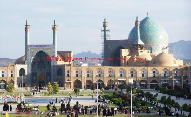 �����˰͸�����ι���