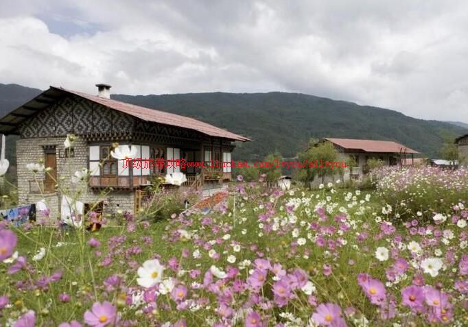 ������ķ�������ι���