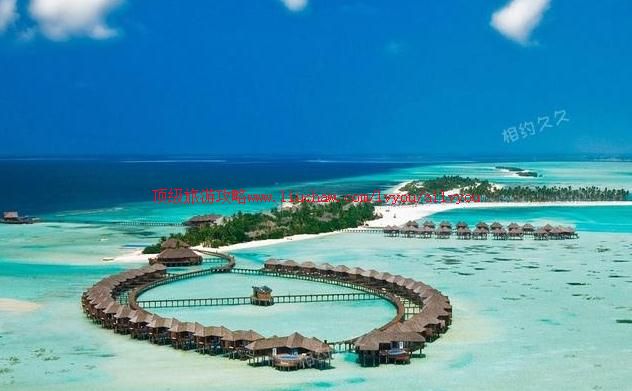 medf001��������������ʮ�����ι���