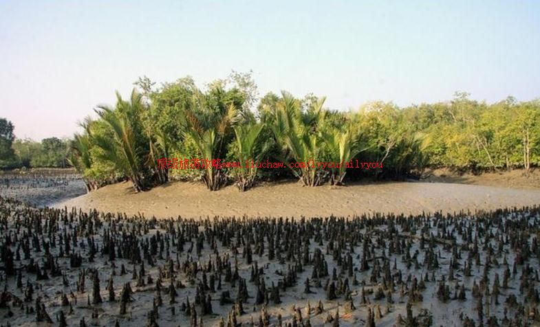 �ϼ�������¶���˹���ҹ�԰���ι���