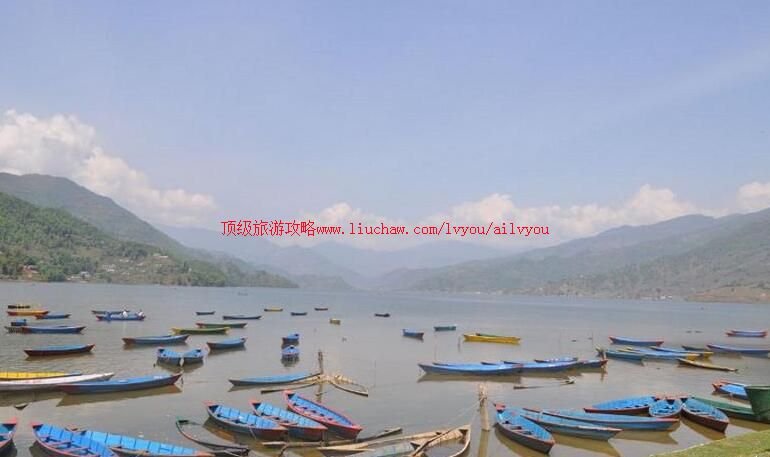 �Ჴ�������������ι���