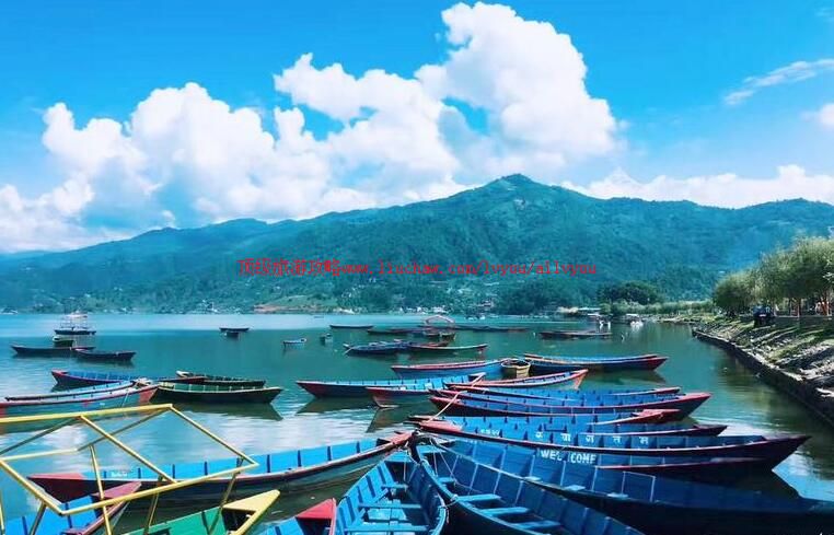 �Ჴ�����������ߺ����ι���