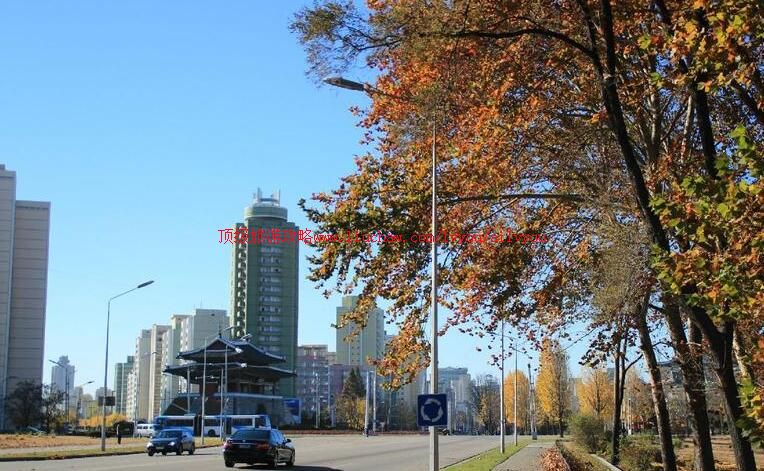 ����ƽ�������ι���