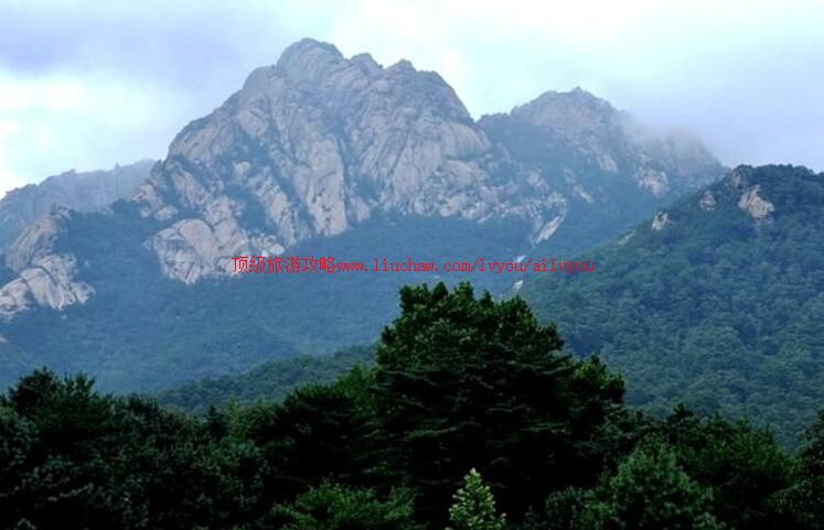 ���ʽ��ɽ���ι���