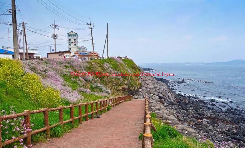 韩国济州岛偶来小路旅游攻略