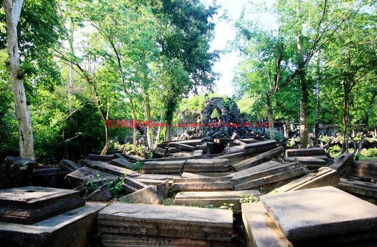 ����կ���������ι���