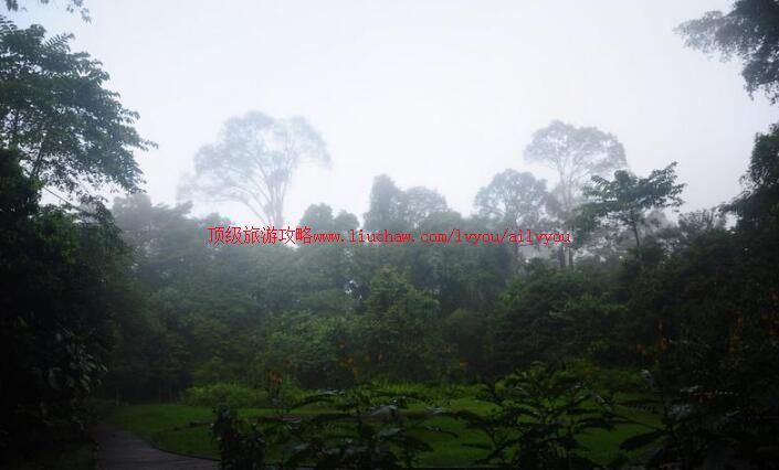 ��������ķ»���ҹ�԰���ι���