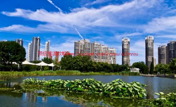 �������̩�ṫ԰���ι���