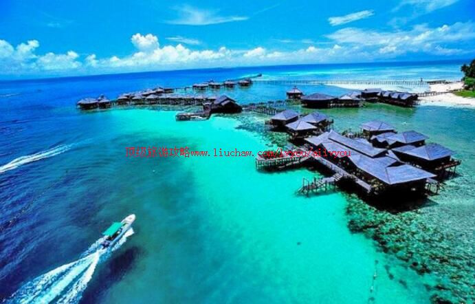 �����������͵������ι���