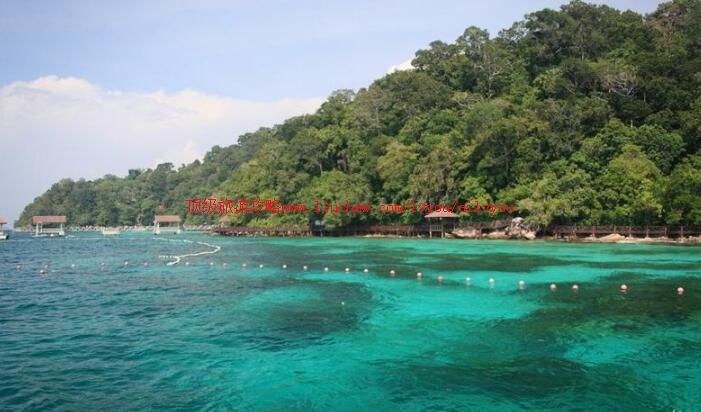 ��������������Ⱥ�����ι���