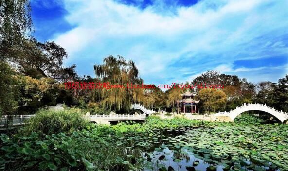 天津西沽公园旅游攻略